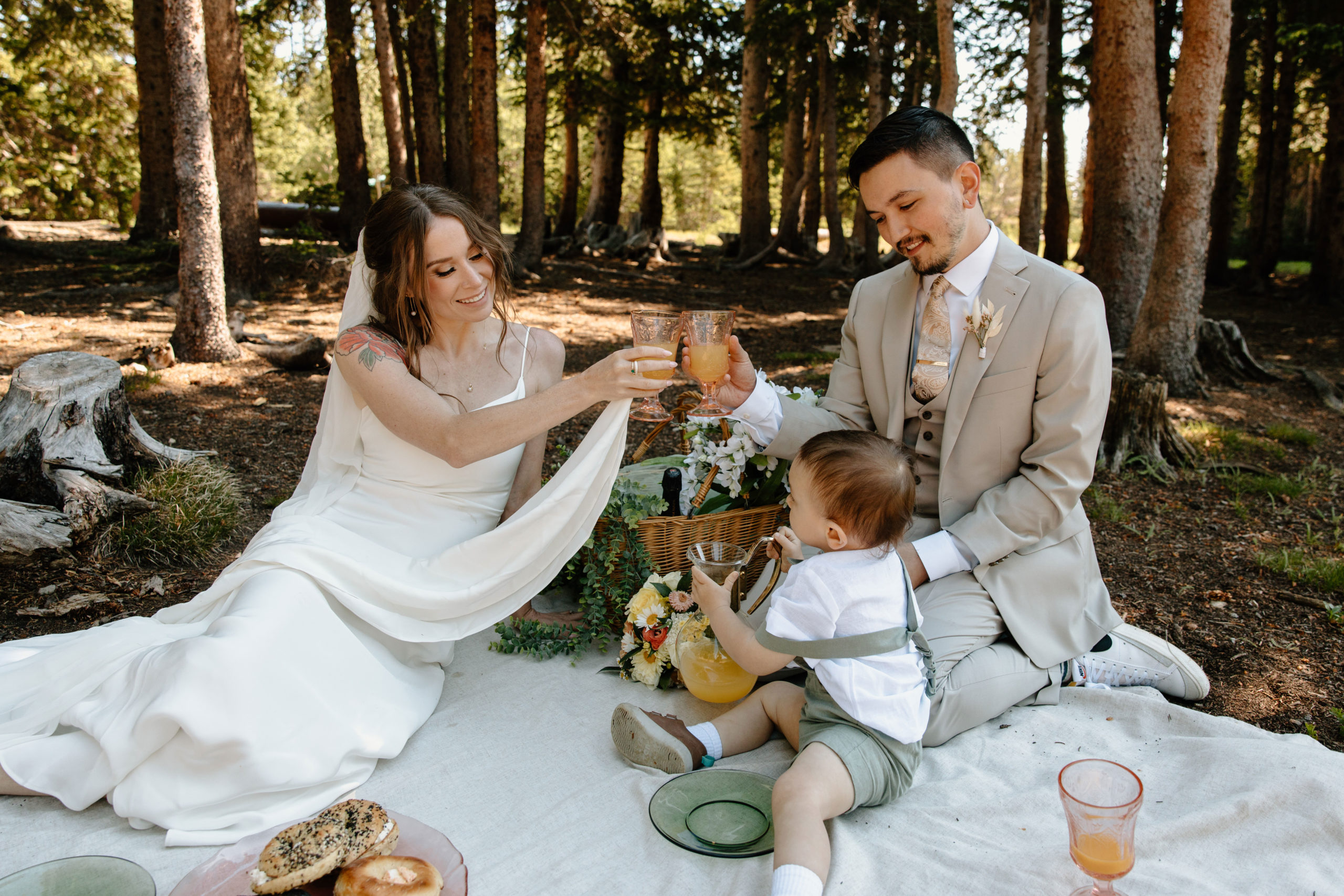 bride and groom having a picnic and celebrating their marriage with their toddler